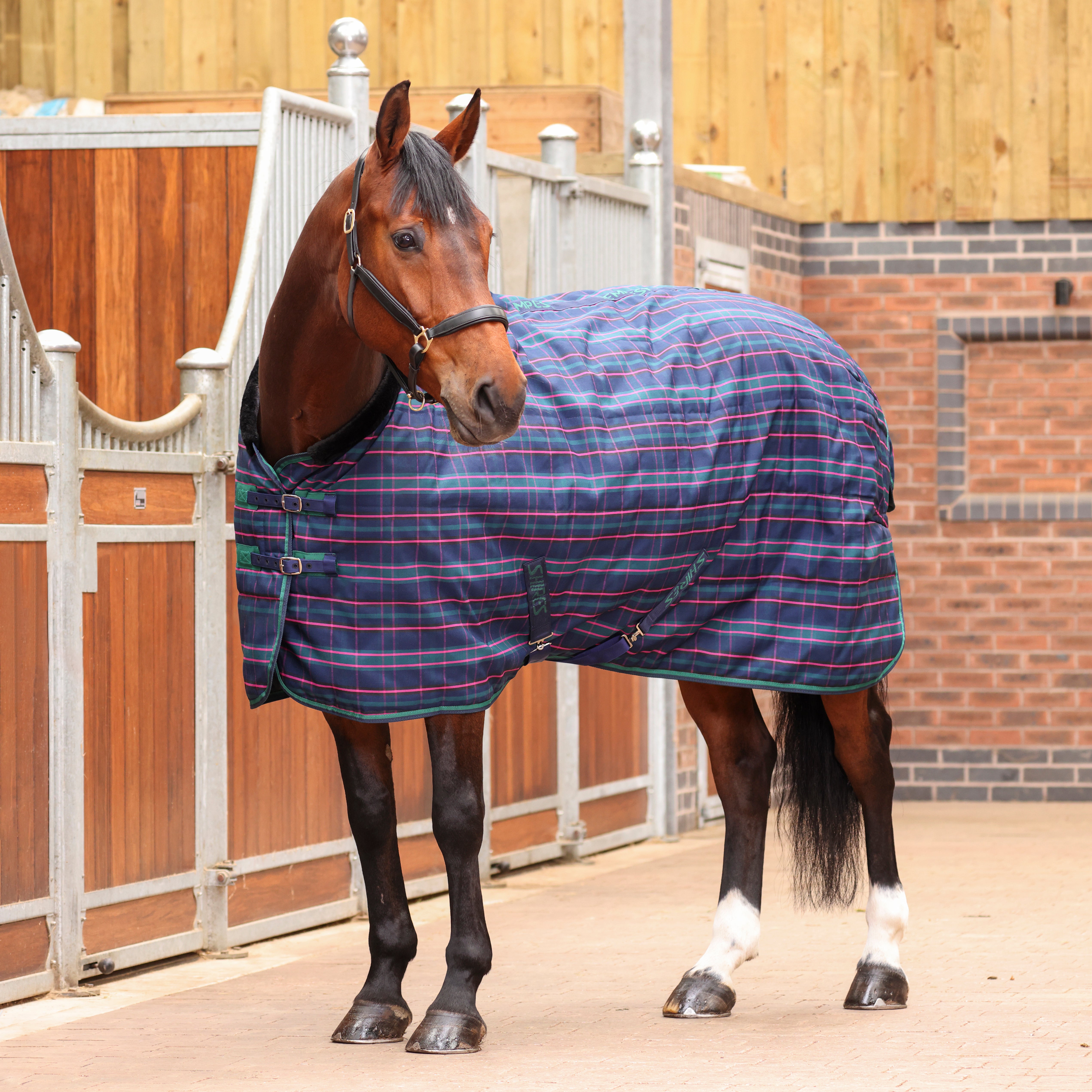 Tempest Plus 100 Stable Blanket
