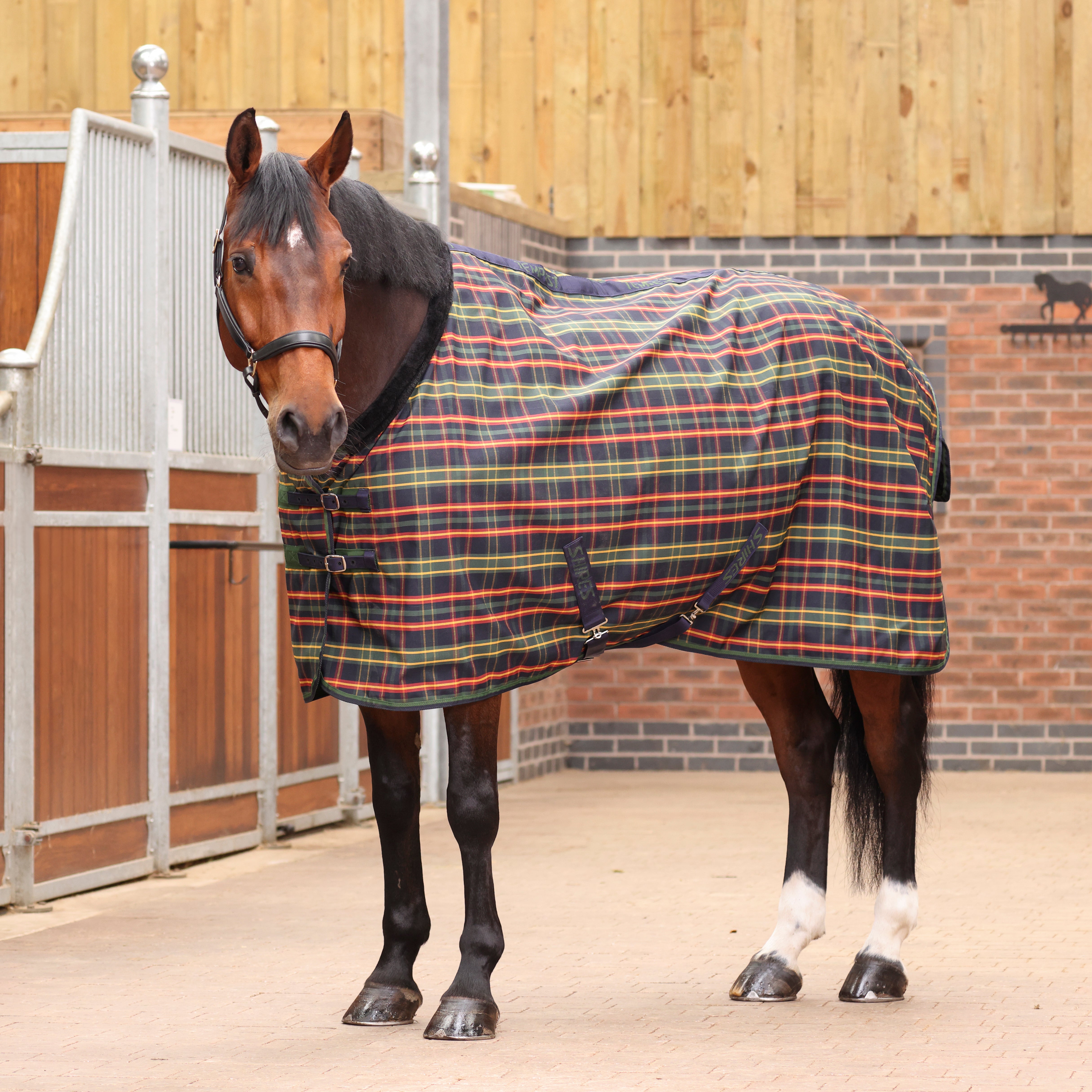 Tempest Plus Lite Stable Blanket