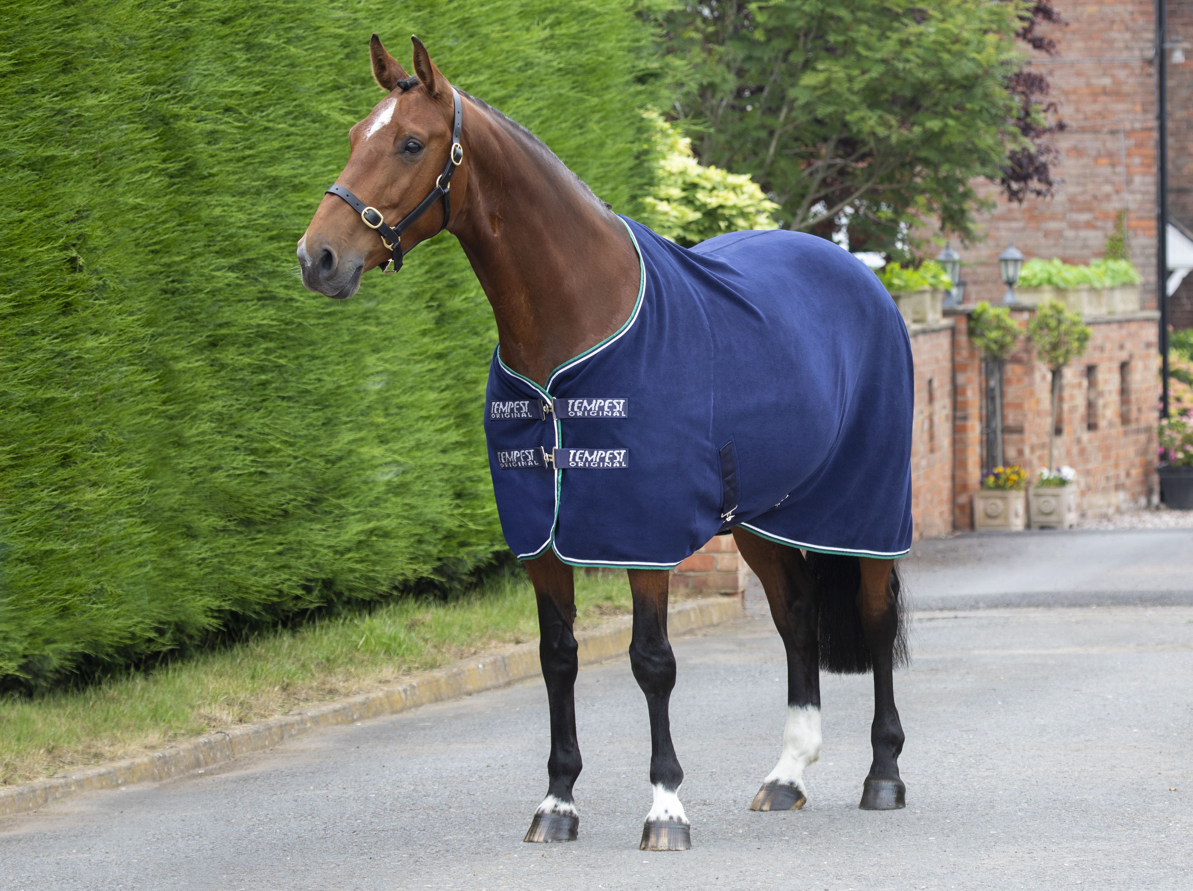 Tempest Fleece Rug