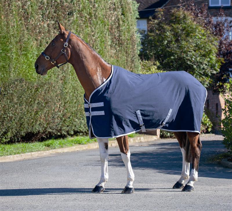 Tempest Original Stable Sheet