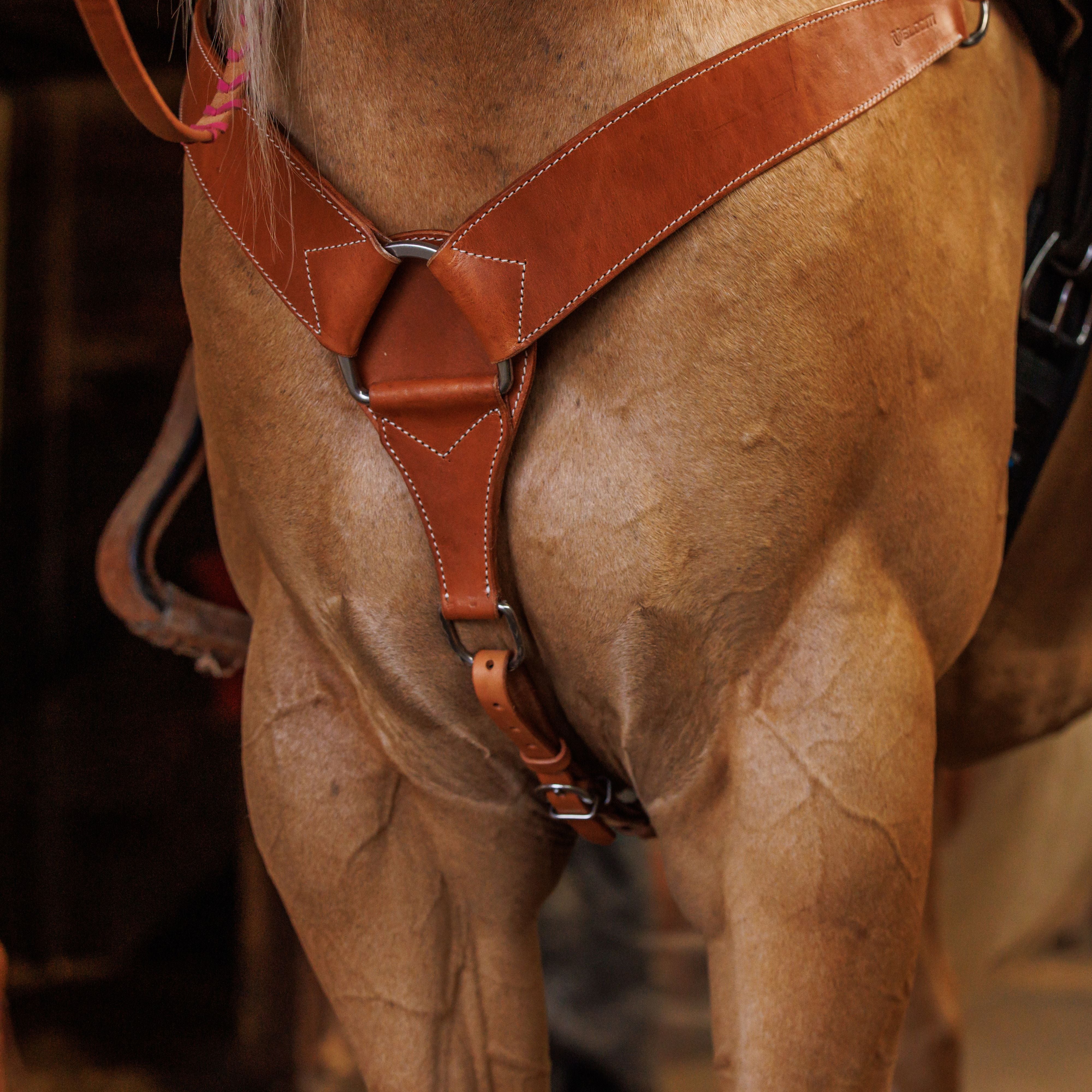 Velociti Premium Breastcollar