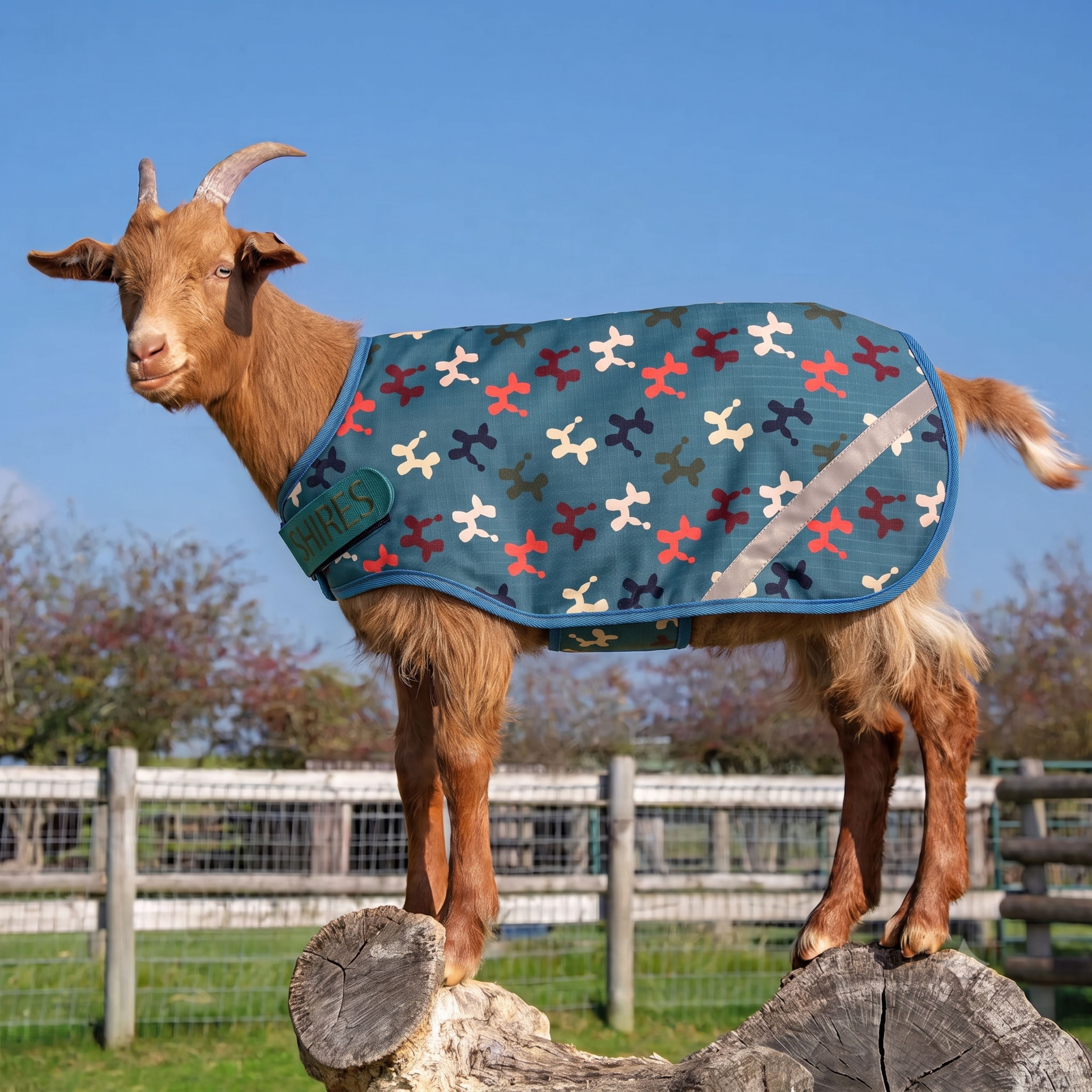 Tempest 200 Goat Rug